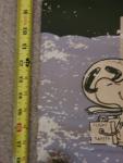 Snoopy and Buzz Aldrin Apollo 11 Posters