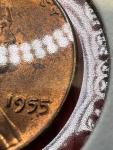1955-P Lincoln Wheat Cent Penny Double Die