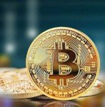 12 Gold Plated Bitcoin Coins for Collectors