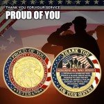 48 Pcs Veteran Challenge Coin Set - Armor of God