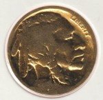 Rare 1913-1938 Gold Plate Buffalo Nickel Collection