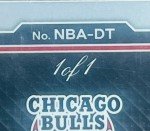 Dalen Terry 2023 Panini Prizm 1/1 Nike Swoosh