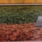 2024 Paul Skeens Gold Refractor Bowman Chrome #BTP-3