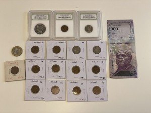 Wheat Pennies and More: Coin Collection Starter