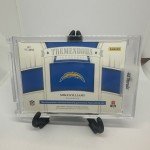 Mike Williams 2020 National Treasures Laundry Tag 1/1
