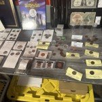 Coin Collection Bundle for Enthusiasts