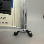 Mike Williams 2020 National Treasures Laundry Tag 1/1