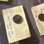 Coin Collection Bundle for Enthusiasts