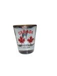 RCMP Centennial Shot Glass 1873-1973 Collectible