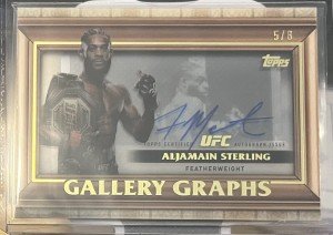Aljamain Sterling 2024 Topps UFC Knockout Auto