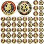 48-Piece Veteran Challenge Coin Set - Armor of God