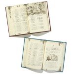 Minecraft Stonesword Saga Chapter Book Box Set