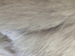 Scandinavian Blue Fox Fur Coat with Pockets