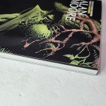 Saga of the Swamp Thing Volumes 5 & 6