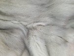 LEAFGREN Silver Mink Women's Fur Coat Size XXL