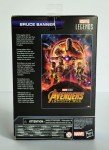 Marvel Legends Infinity Saga Bruce Banner Figure