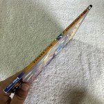 Sonic Saga Series Evil Reborn V5 Paperback