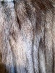 Saga Fox Two-Tone Natural Fur Coat, Size 8