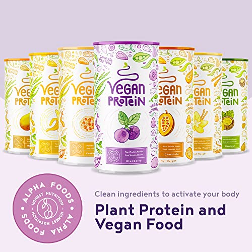 Blueberry Plant-Based Vegan Protein Powder - 600g