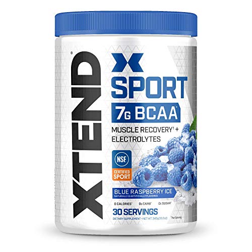 XTEND Sport Blue Raspberry BCAA Powder - 30 Servings