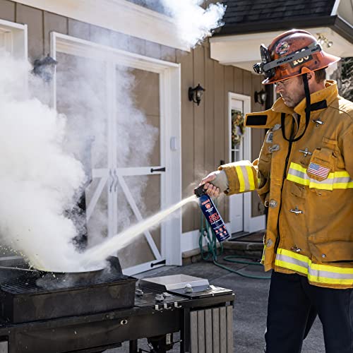Portable Fire Extinguisher Spray - 4 Pack