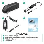 48V Lithium Battery for Electric Bikes