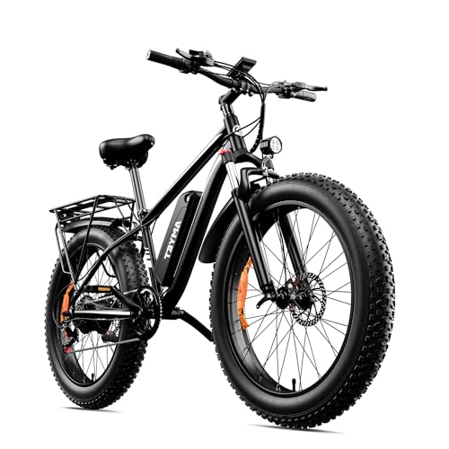 AMYET EB26 1000W Electric Bike for Adults