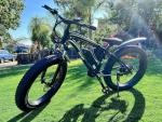 AMYET EB26 1000W Electric Bike for Adults