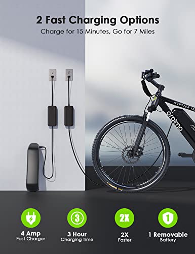 Oraimo UL-Certified 36V 13AH Battery for Monster 100