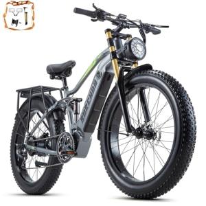 2000W Dual Motor Electric Bike with Removable Battery
