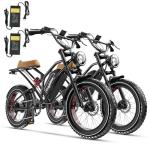Auloor 1000W Electric Bike with Fat Tires