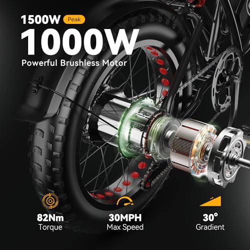 Auloor Electric Bike - 1000W/750W, 48V, Fat Tires
