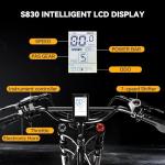 Auloor 1000W Electric Bike with Fat Tires