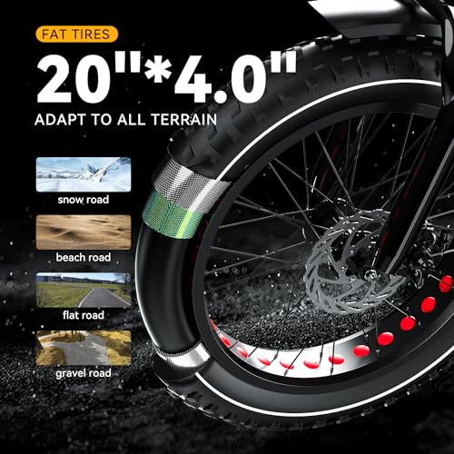 Auloor Electric Bike - 1000W/750W, 48V, Fat Tires