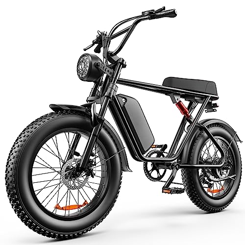Electric Bike: 1000W, 35MPH, 48V 20AH, 7-Speed