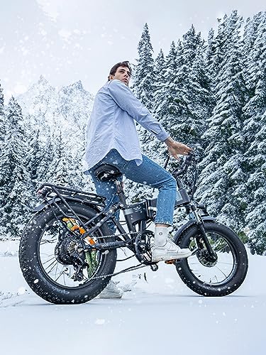 MEZOCLN 1000W Electric Fat Tire Folding Ebike