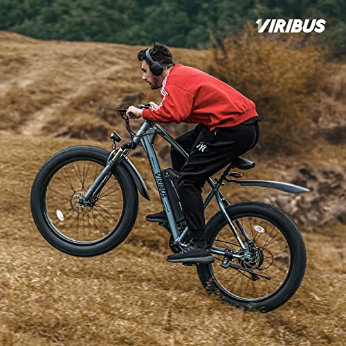 Viribus Electric Fat Tire Ebike - 500W 12.5Ah