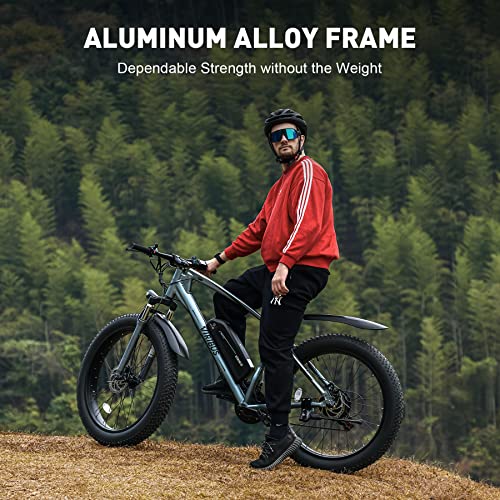 Viribus Electric Fat Tire Ebike - 500W 12.5Ah