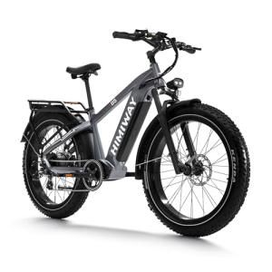 Himiway Zebra Electric Bike - 750W, 80 Mile Range