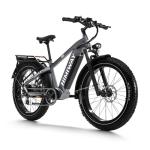 Himiway Zebra Electric Bike - 750W, 80 Mile Range