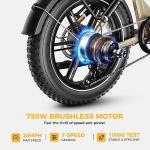 Heybike Ranger S 750W Foldable Electric Bike