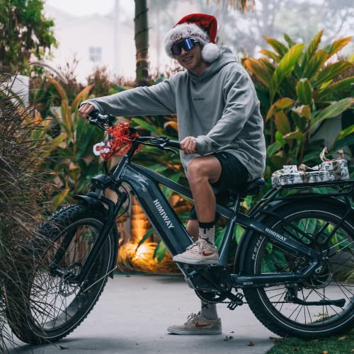 Himiway Zebra Electric Bikes: 750W, 80Miles, 48V
