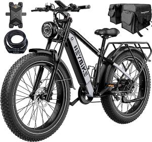 Heybike Brawn Electric Bike 750W 28MPH Fat Tire