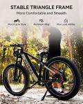 Heybike Brawn Electric Bike 750W 28MPH Fat Tire