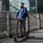 1PLUS 500W Electric Scooter with 10" Tires