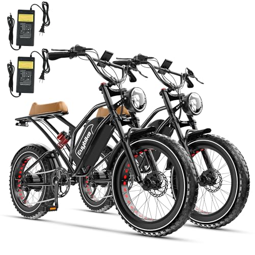 Auloor 1000W Electric Bike with Fat Tires