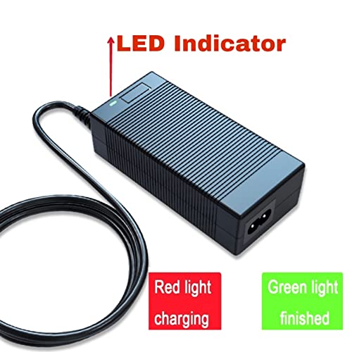 Electric Scooter Bike Charger for Multiple Models