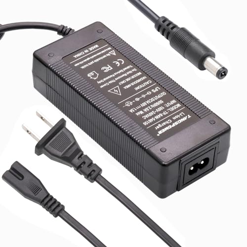 TANGSPOWER Electric Bike Charger for 13S Lithium Battery