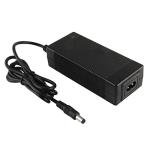 48V Lithium Battery Charger for Rad Bikes
