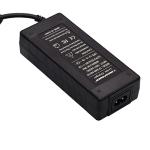48V Lithium Battery Charger for Rad Bikes